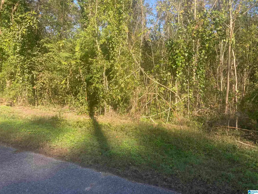 63 JOHNSON DRIVE, Bessemer, AL 35023 - #2