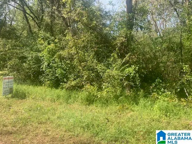 63 JOHNSON DRIVE, Bessemer, AL 35023 - #3