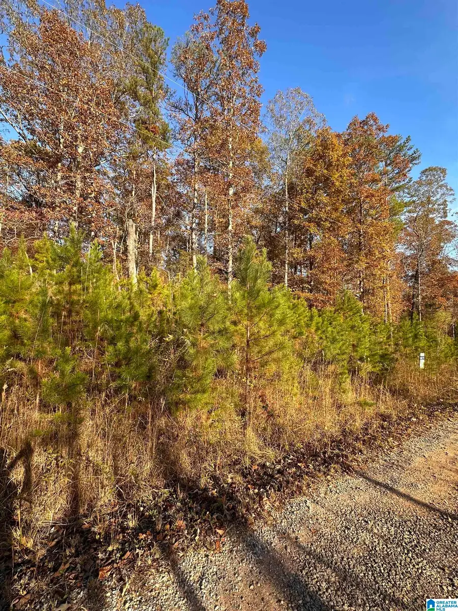 0 HARBOUR POINT DRIVE, Folsom, AL 36258 - Image #2