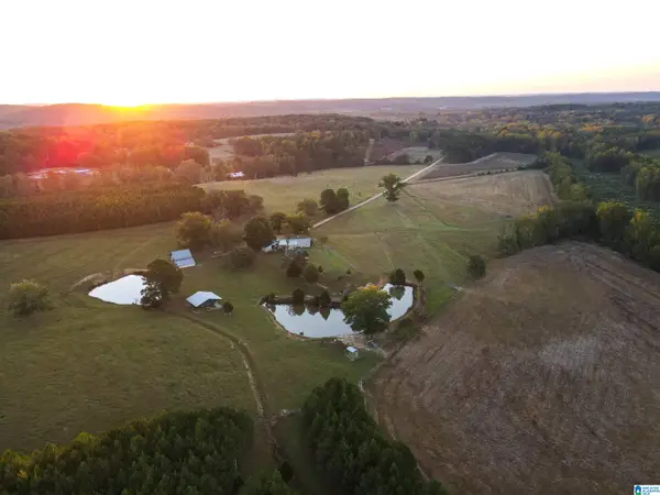 845 TURNER ROAD, Fayette, AL 35555