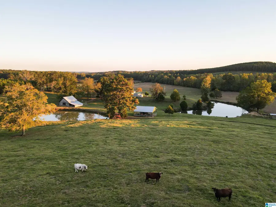 845 TURNER ROAD, Fayette, AL 35555 - Image #2