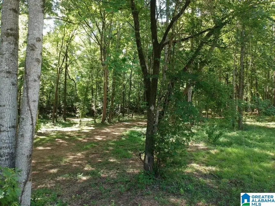 SHOAL CREEK CIRCLE, Montevallo, AL 35115 - Image #2