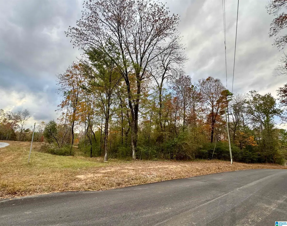 18920 CATTLE RANCH ROAD, Brookwood, AL 35444 - Image #1