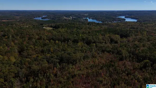 0 COUNTY ROAD 99, Wedowee, AL 36278