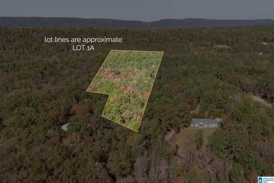 284 NICHOLS ROAD, Chelsea, AL 35043 - Image #2