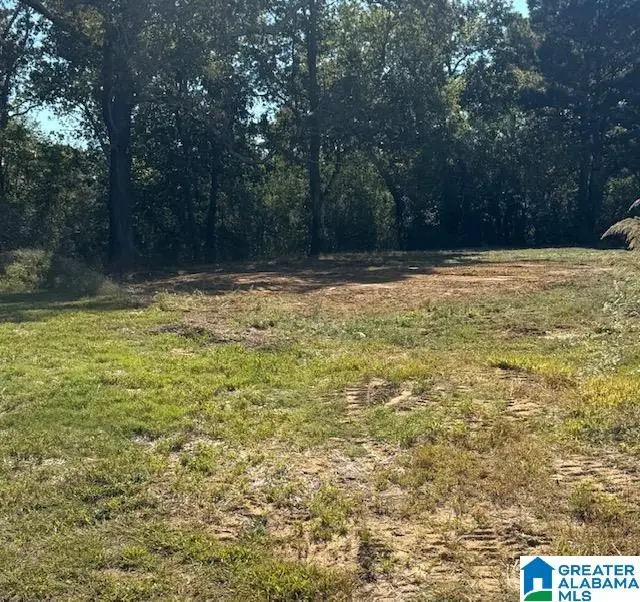 lot 42 COUNTY ROAD 1462, Cullman, AL 35055 - Image #2