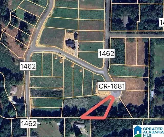 lot 42 COUNTY ROAD 1462, Cullman, AL 35055 - Image #3