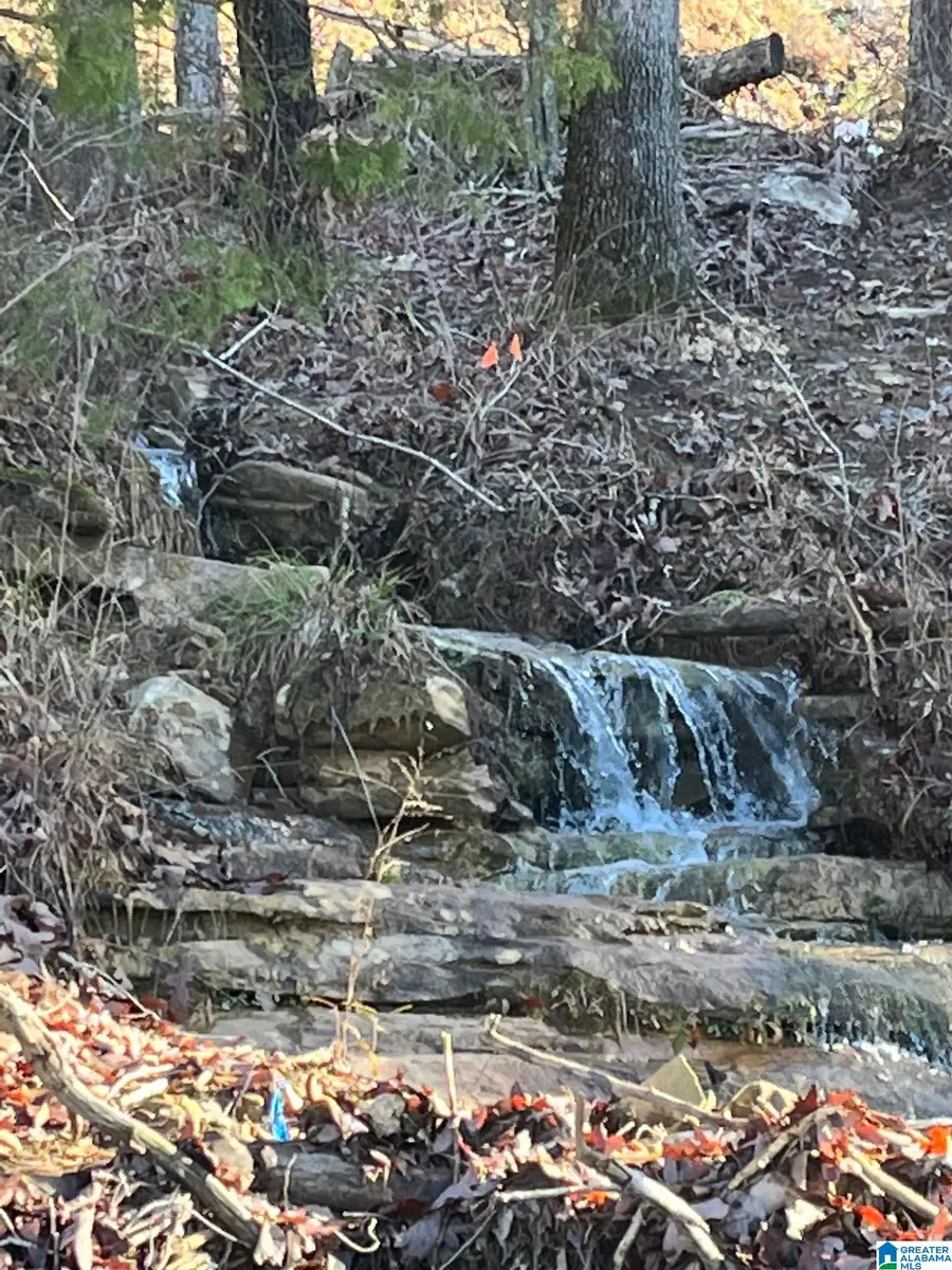 LOT 46 THE LEGENDS AT BRUSHY CREEK, Arley, AL 35541 - Image #3