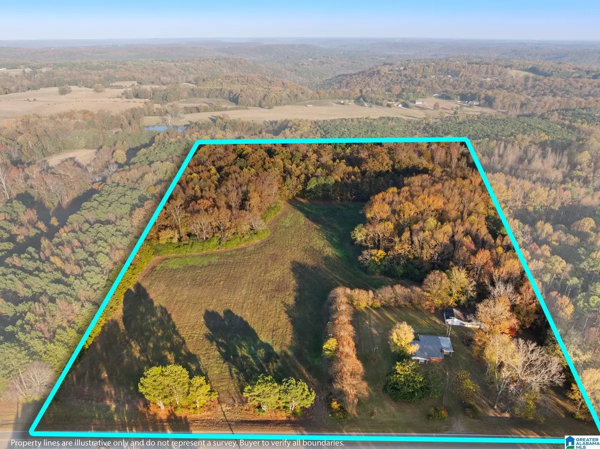 2986 EVA ROAD, Falkville, AL 35622 - #1