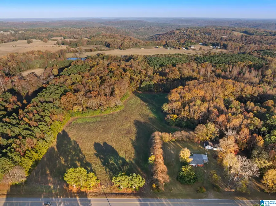 2986 EVA ROAD, Falkville, AL 35622 - #2