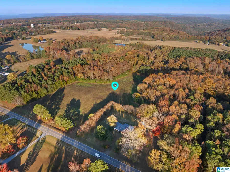 2986 EVA ROAD, Falkville, AL 35622 - #3