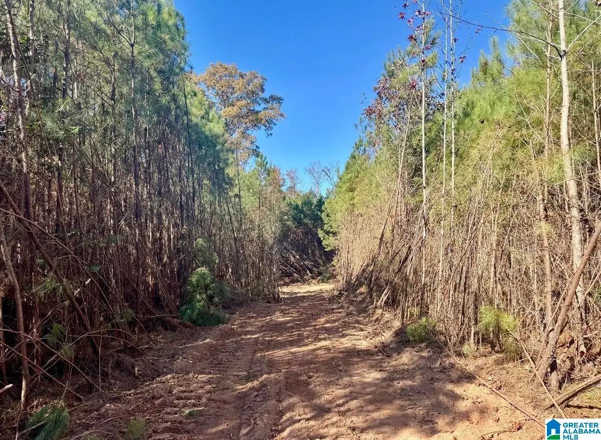 2094 COUNTY ROAD 79, Wadley, AL 36276 - Image #1