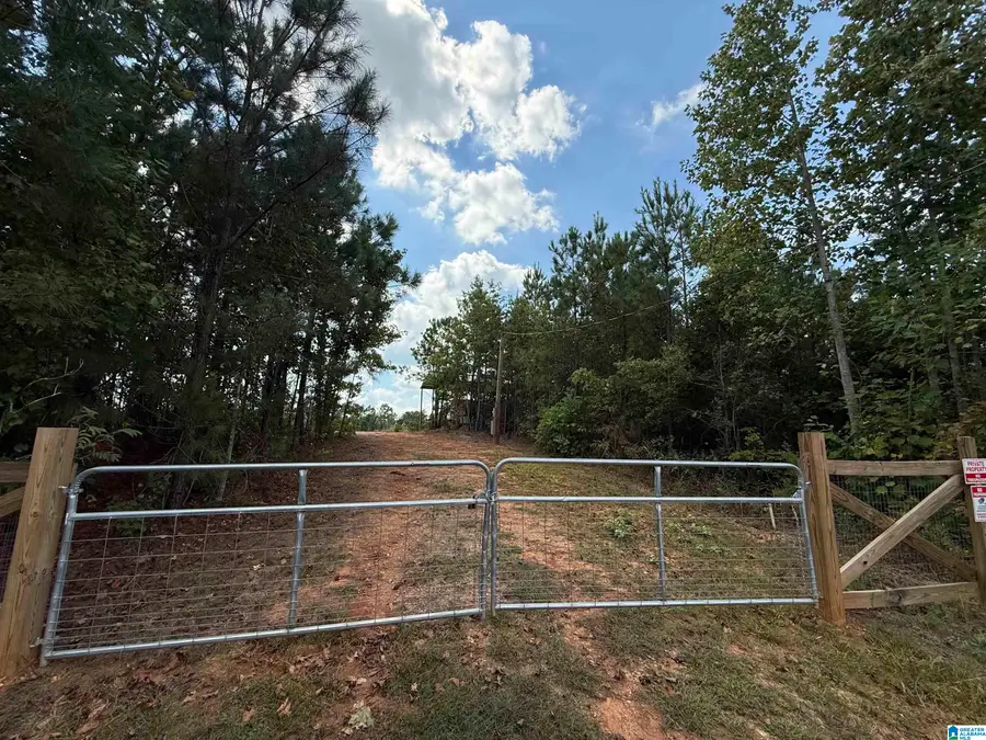 7070 RENDALIA MOTORWAY, Talladega, AL 35160 - Image #2