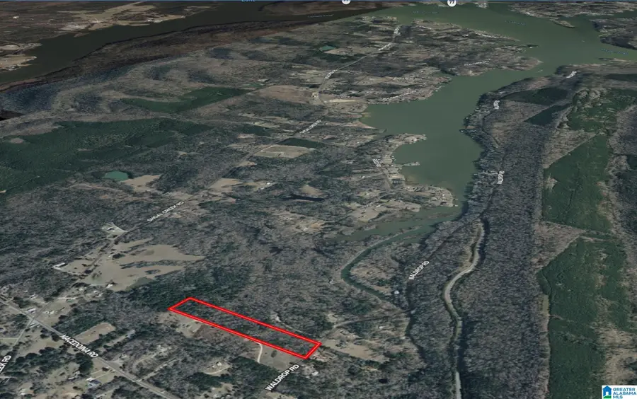 0 WALDROP ROAD, Ashville, AL 35953 - Image #2