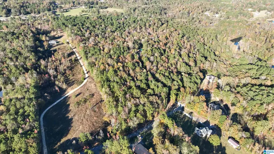 0 WALDROP ROAD, Ashville, AL 35953 - Image #3