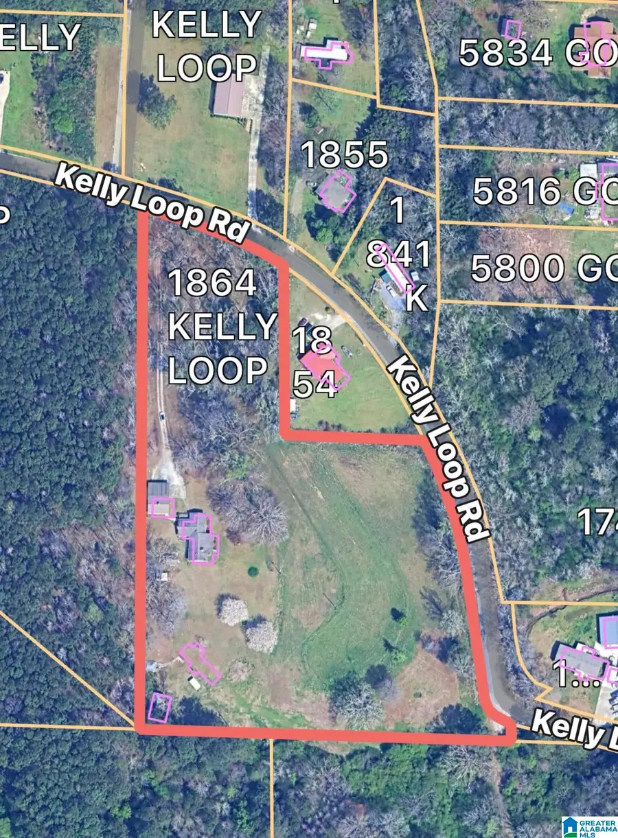 1864 KELLY LOOP ROAD, Mount Olive, AL 35117 - Image #3