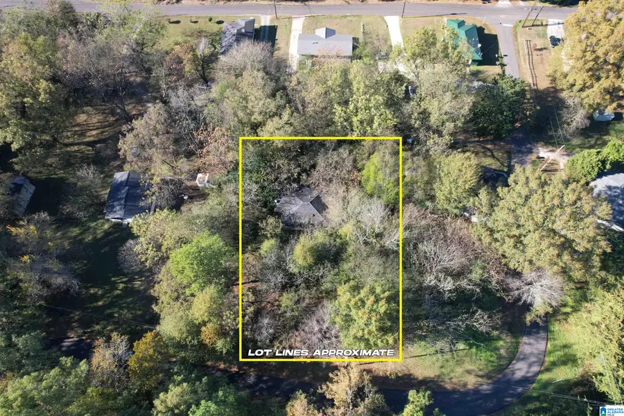 410 WASHINGTON STREET, Bessemer, AL 35020 - Image #2