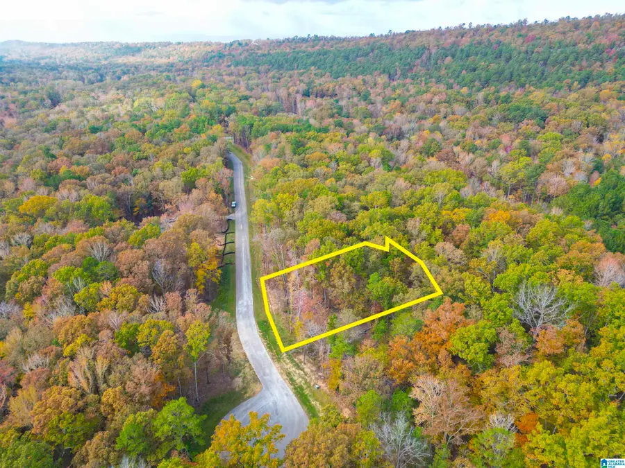 785 CAVALIER RIDGE, Birmingham, AL 35242 - Image #3