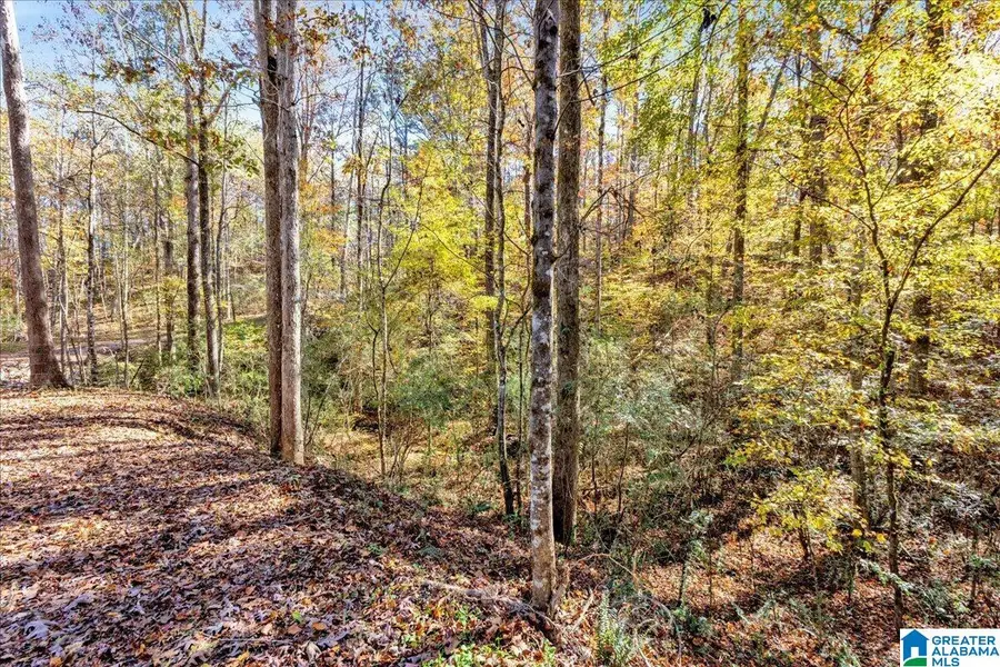 0 HAMMOCK ROAD, Trussville, AL 35173 - Image #2