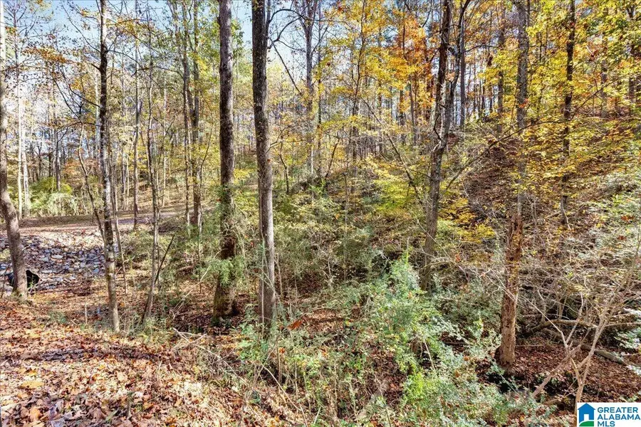 0 HAMMOCK ROAD, Trussville, AL 35173 - Image #3