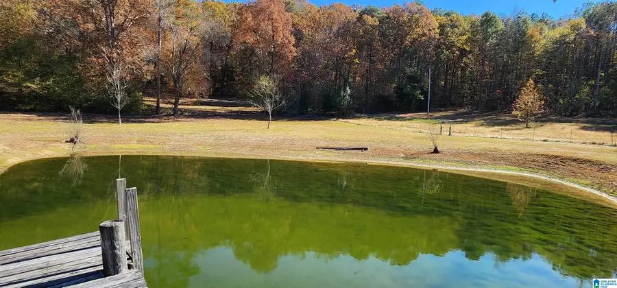 352 KUDZU ROAD, Oneonta, AL 35121 - Image #2