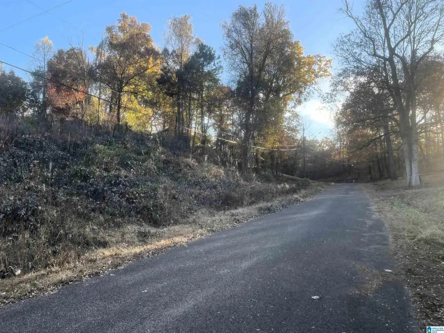 416 WADSWORTH DRIVE, Birmingham, AL 35214 - Image #3