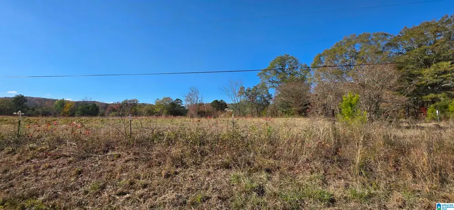 663 GRAHAM DRIVE, Ohatchee, AL 36271 - Image #3