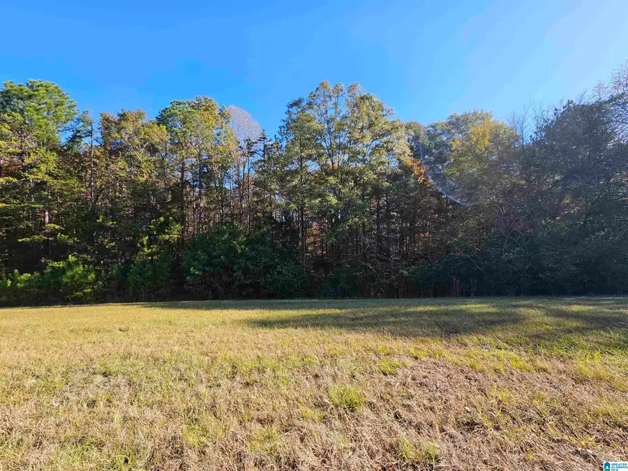 0 HIGHWAY 280 W, Sylacauga, AL 35150 - Image #2