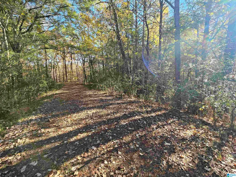 0 HIGHWAY 280 W, Sylacauga, AL 35150 - Image #3