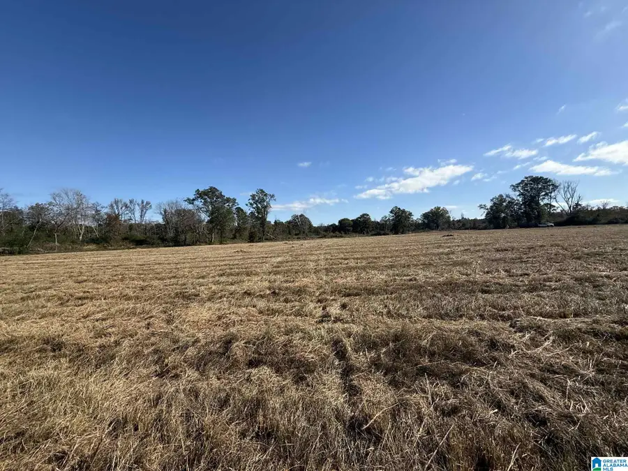 4353 COUNTY ROAD 232, Thorsby, AL 35171 - Image #3