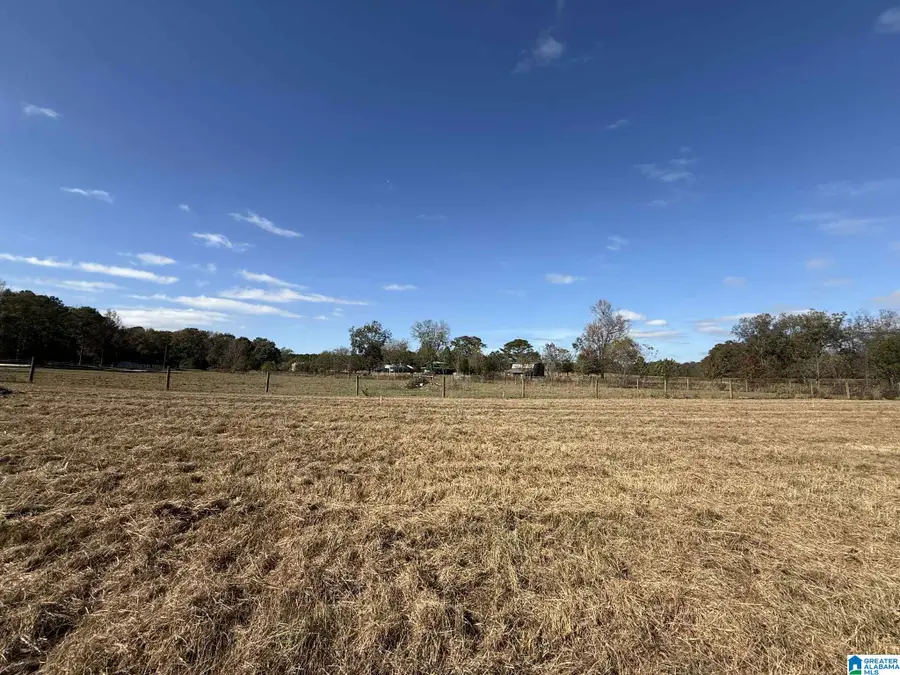 4353 COUNTY ROAD 232, Thorsby, AL 35171 - Image #2