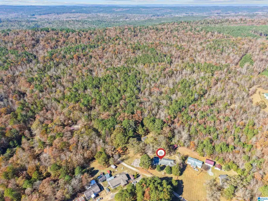 250 HARRIS LANE, Ragland, AL 35131 - Image #3