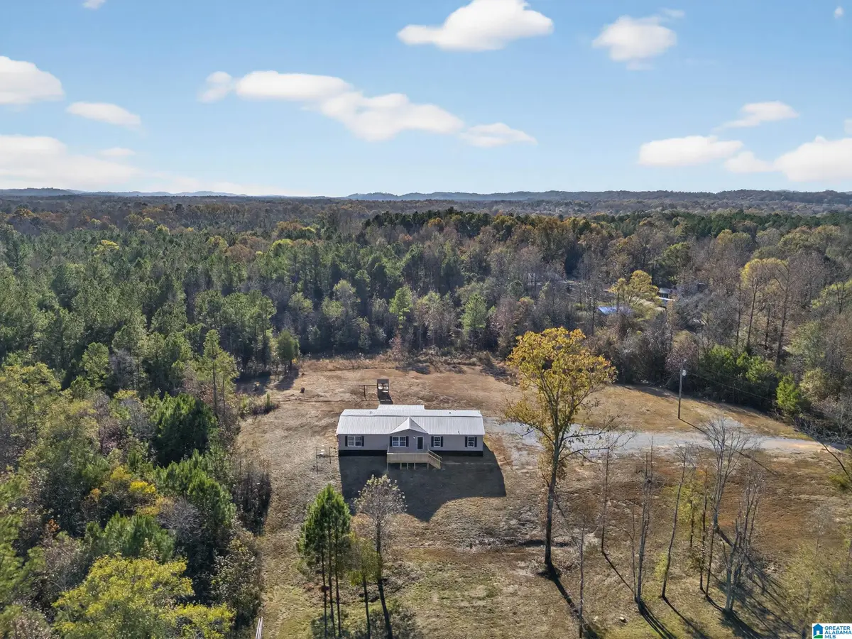 3350 PEEKS HILL ROAD, Ohatchee, AL 36271 - Image #1