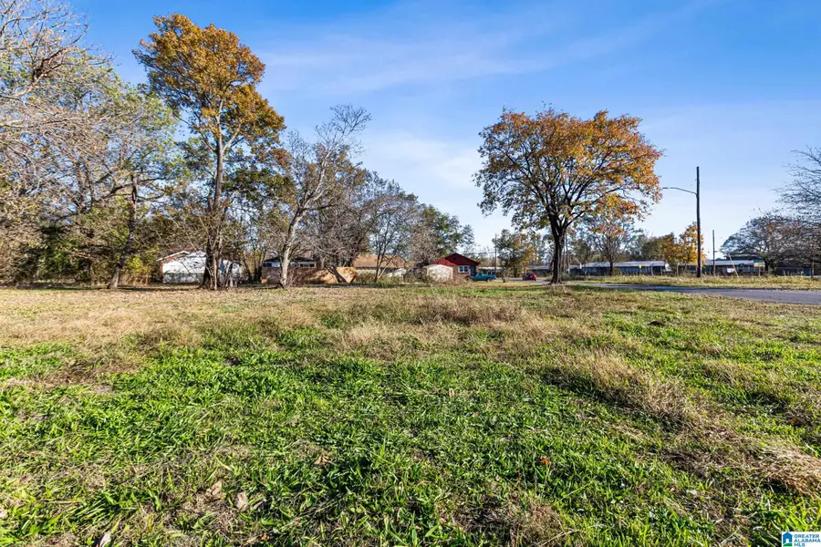 3411 N 34TH PLACE, Birmingham, AL 35207 - Image #3