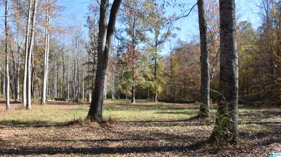 0 CREEK RUN, Sylacauga, AL 35150 - Image #2