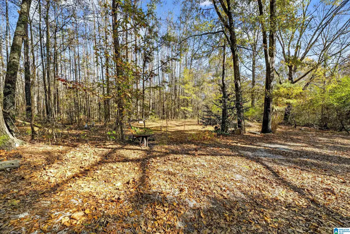 206 PRUITT ROAD, Piedmont, AL 36272 - Image #1