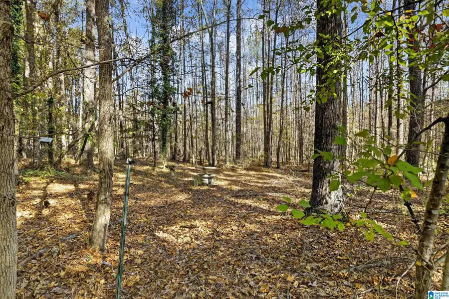 206 PRUITT ROAD, Piedmont, AL 36272 - Image #2