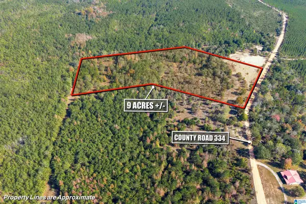 0 COUNTY ROAD 101, Plantersville, AL 36758