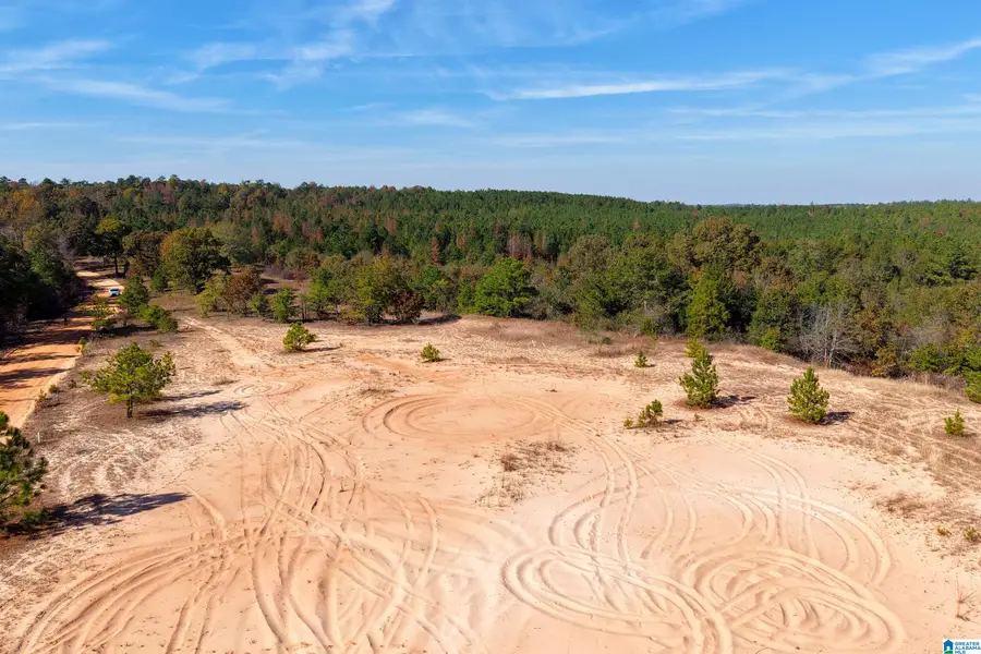 0 COUNTY ROAD 101, Plantersville, AL 36758 - Image #3