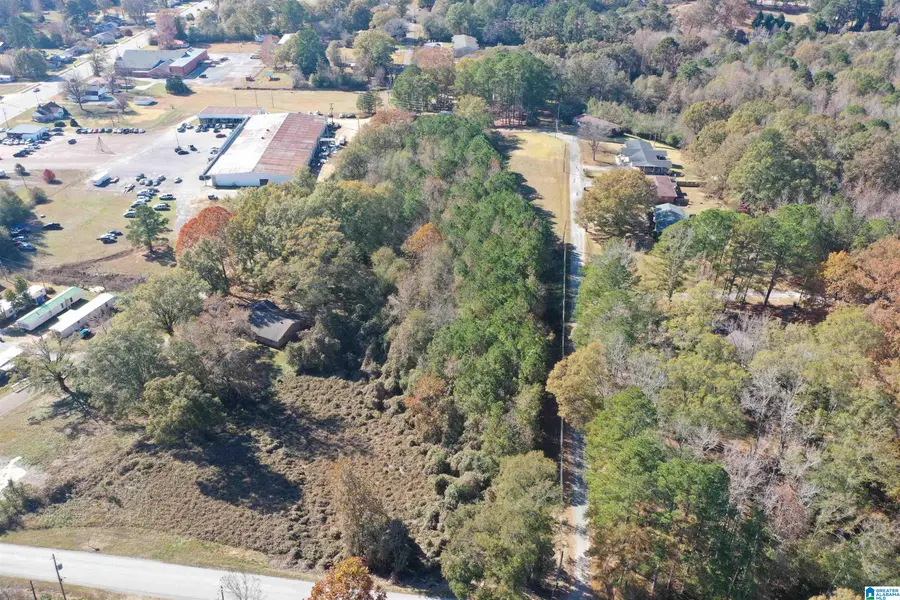 0 12TH AVENUE E, Guin, AL 35563 - Image #2