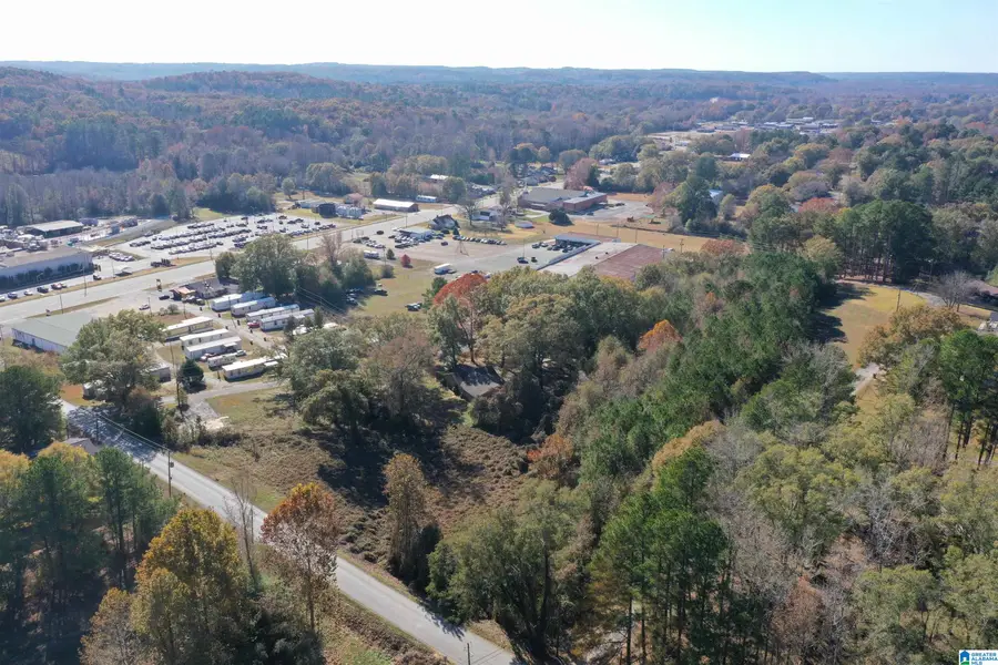 0 12TH AVENUE E, Guin, AL 35563 - Image #3