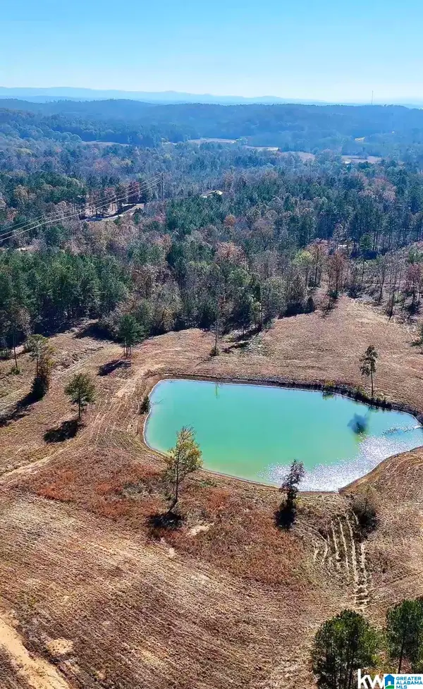 0 GILBERTS FERRY ROAD, Ohatchee, AL 36271