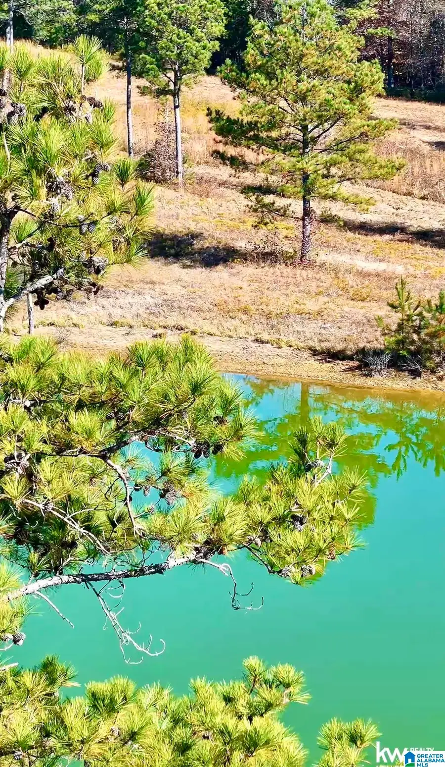 0 GILBERTS FERRY ROAD, Ohatchee, AL 36271 - Image #3