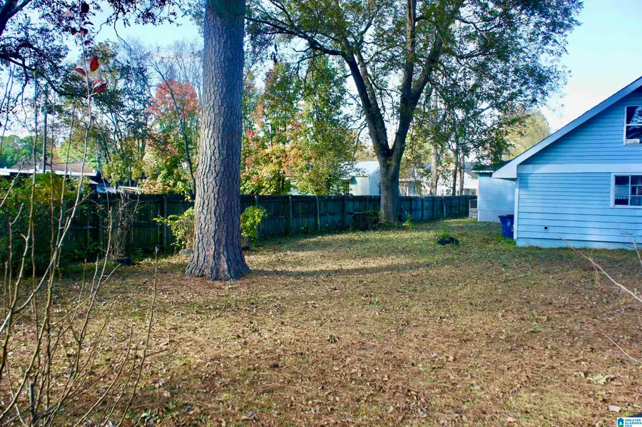 113 RALEIGH AVENUE, Homewood, AL 35209 - Image #3