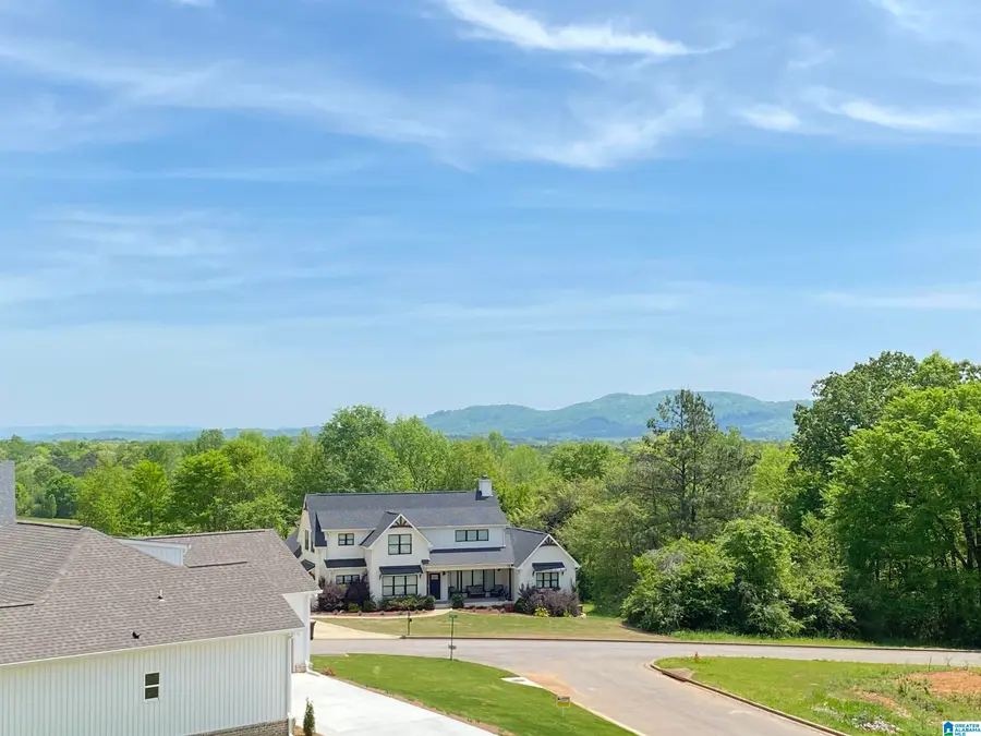 210 COTTAGE COURT, Springville, AL 35146 - Image #2