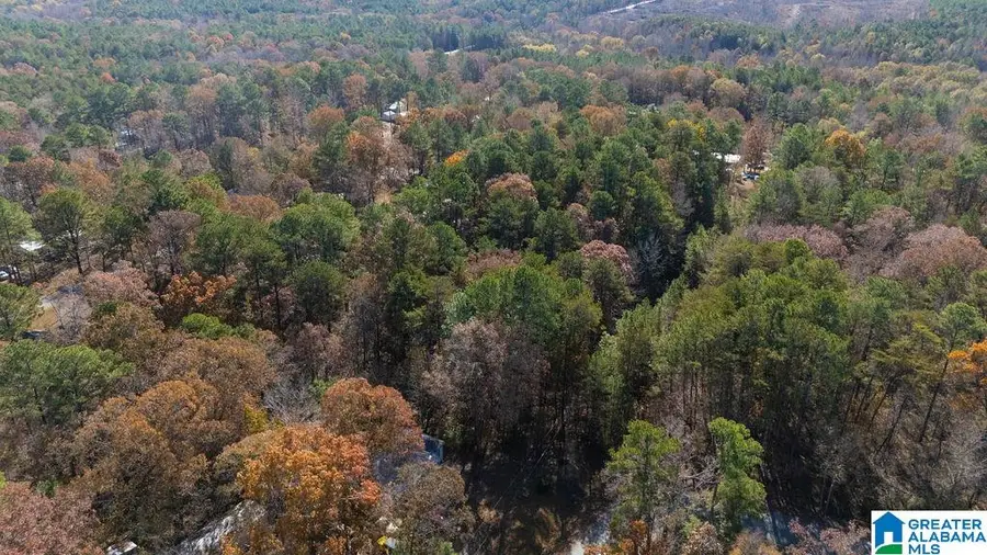 0 JERRY DRIVE, McCalla, AL 35111 - Image #2