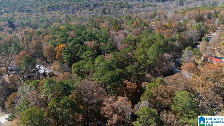0 JERRY DRIVE, McCalla, AL 35111 - Image #3