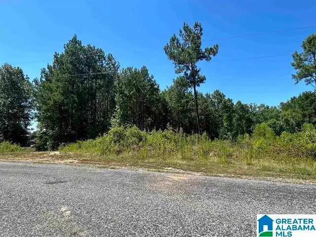 0 CEDAR CREEK DRIVE, Sylacauga, AL 35151 - Image #1