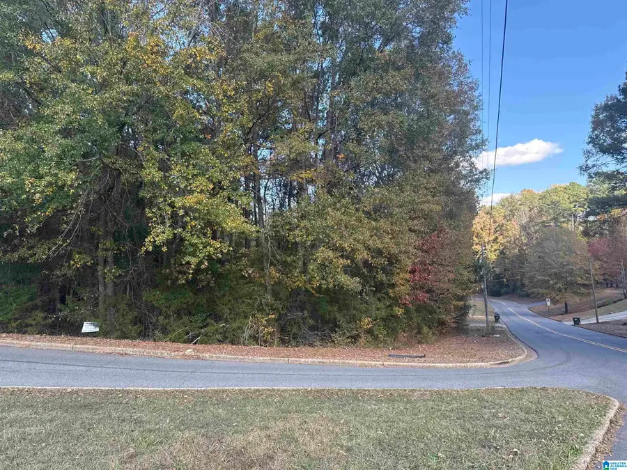 Lot 88 CYPRESS CREEK AVENUE, Tuscaloosa, AL 35405 - Image #3