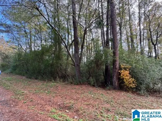 2201 WHITE POST ROAD, Bessemer, AL 35023 - Image #2